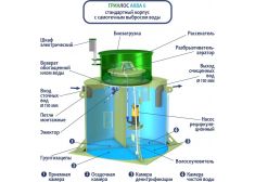 Гринлос Аква 6 